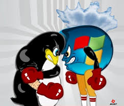 Linux VS Windows web hosting