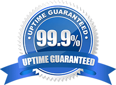 Τι σημαίνει το εγγυημένο uptime